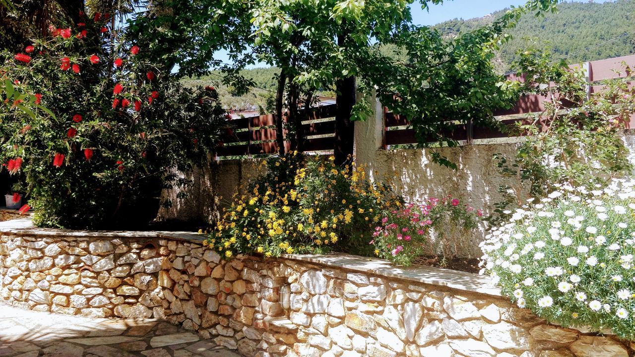 Maria Studios Skiathos Kültér fotó