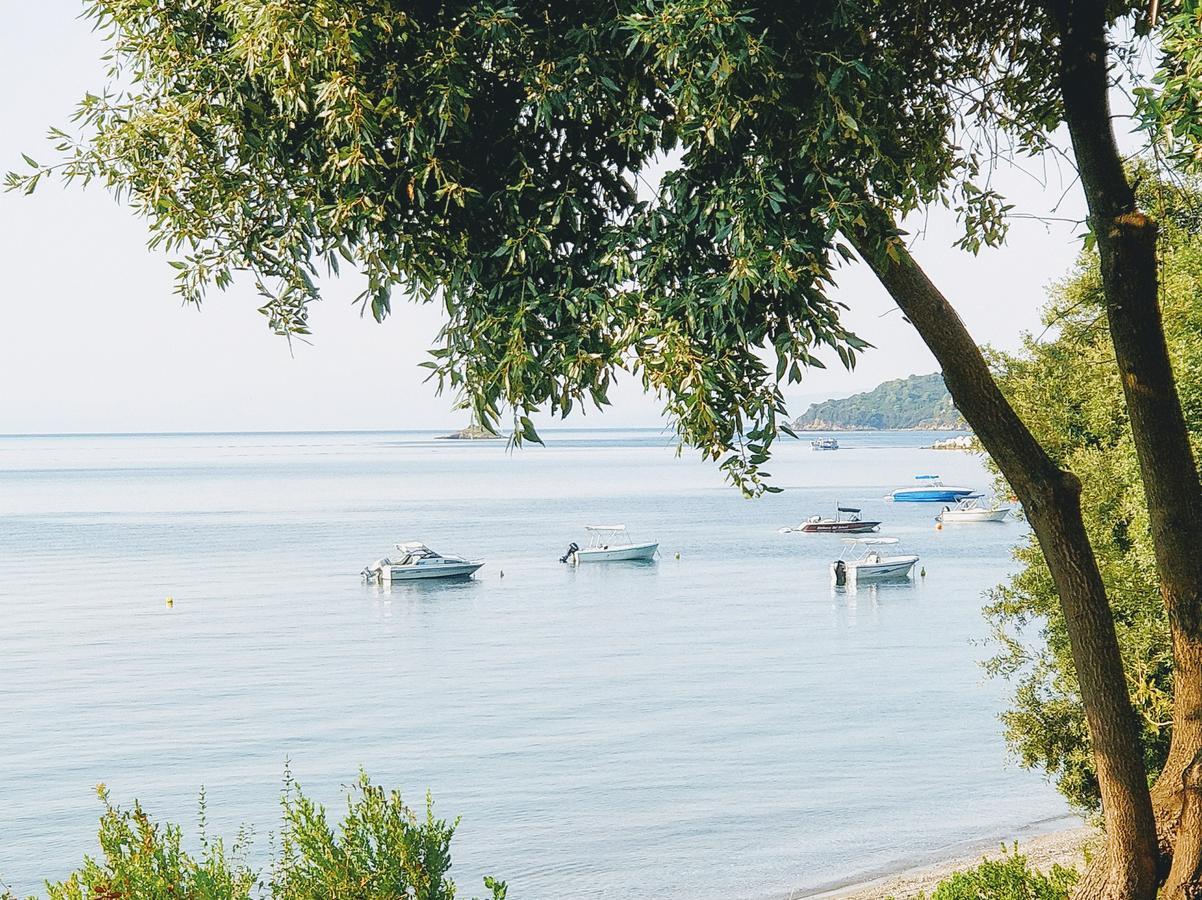 Maria Studios Skiathos Kültér fotó