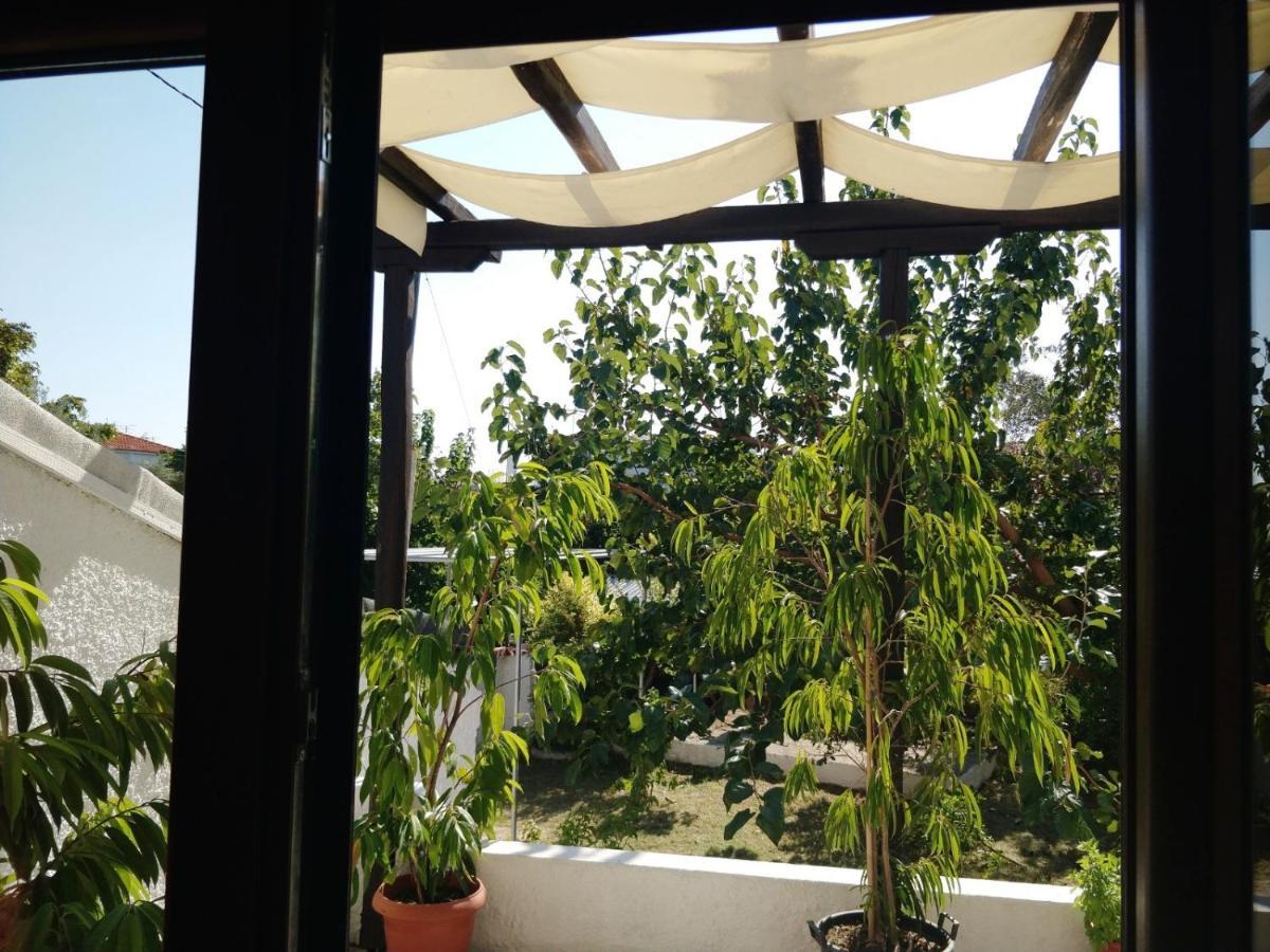 Maria Studios Skiathos Kültér fotó